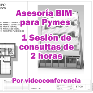 Asesoría BIM para Pymes: 1 sesión de 2 horas